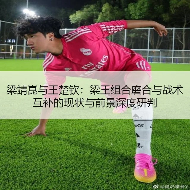 梁靖崑与王楚钦：梁王组合磨合与战术互补的现状与前景深度研判
